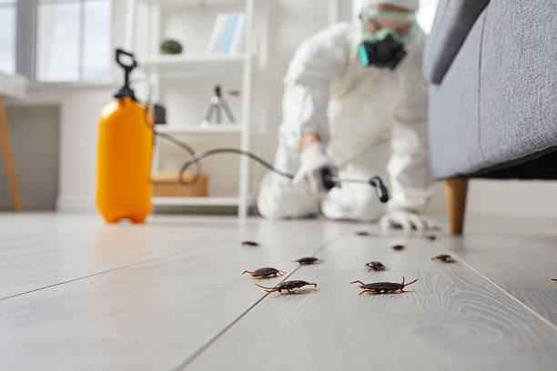 Post-Treatment Bed Bug Interceptor Monitoring in Fox River Grove