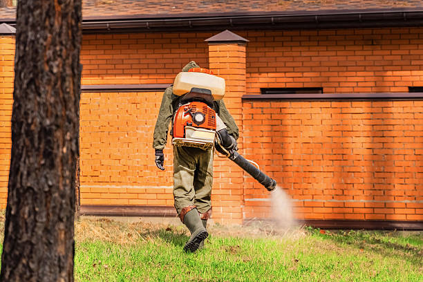 Bed Bug Clearance Verification and Documentation in Fox River Grove